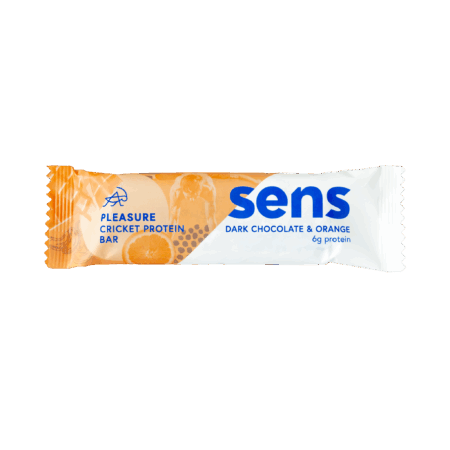 Barres protéinées Pleasure Criquet - Goût Chocolat Noir & Orange
